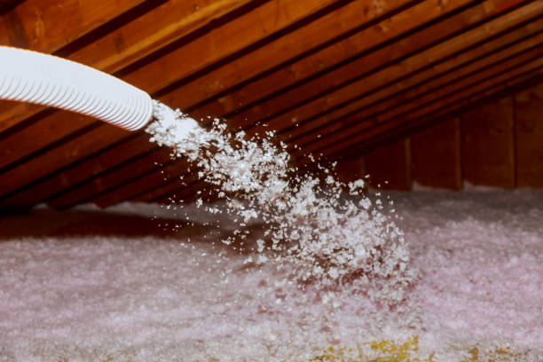 Best Crawl Space Insulation  in San Angelo, TX
