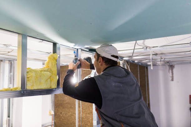 Best Garage Insulation Installation  in San Angelo, TX