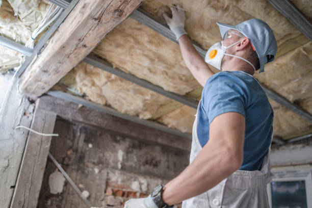 Best Home Insulation Services  in San Angelo, TX