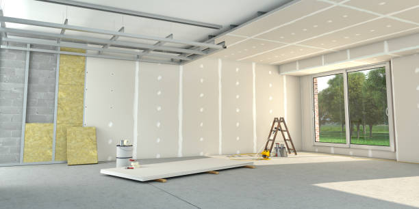 Best Insulation Removal  in San Angelo, TX