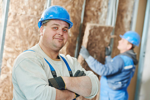 Best Insulation Replacement Services  in San Angelo, TX