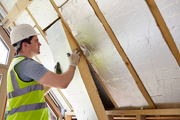 Best Wall Insulation Contractor  in San Angelo, TX